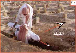كــــــــــــــــــــل شـــــــــــــــــــــــيء عــــــــن المــــــــوت عالم حواء